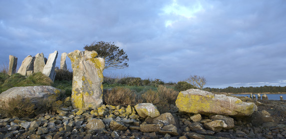 13_03325 Golfe du Morbihan