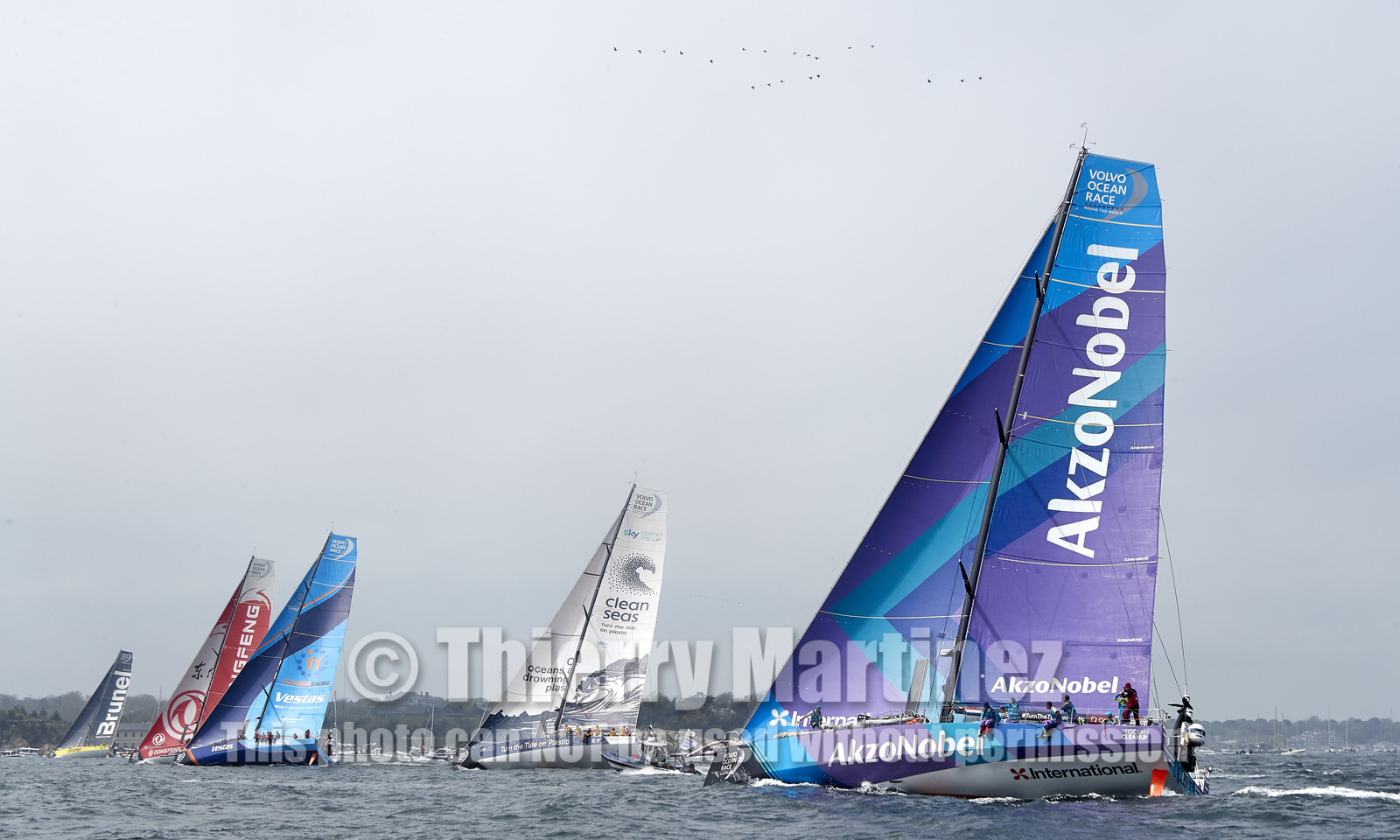 team AkzoNobel  in Volvo Ocean Race 2017-18.