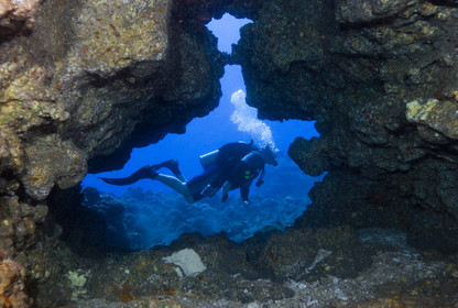 Diving in Maui HAWAII -USA . Jan 2007.
