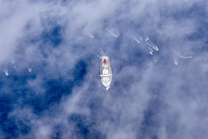 THM_17_039301_THE_BRIDGE