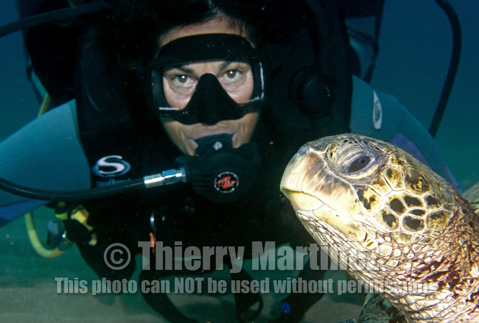 Diving in Maui HAWAII - USA . Jan 2007.