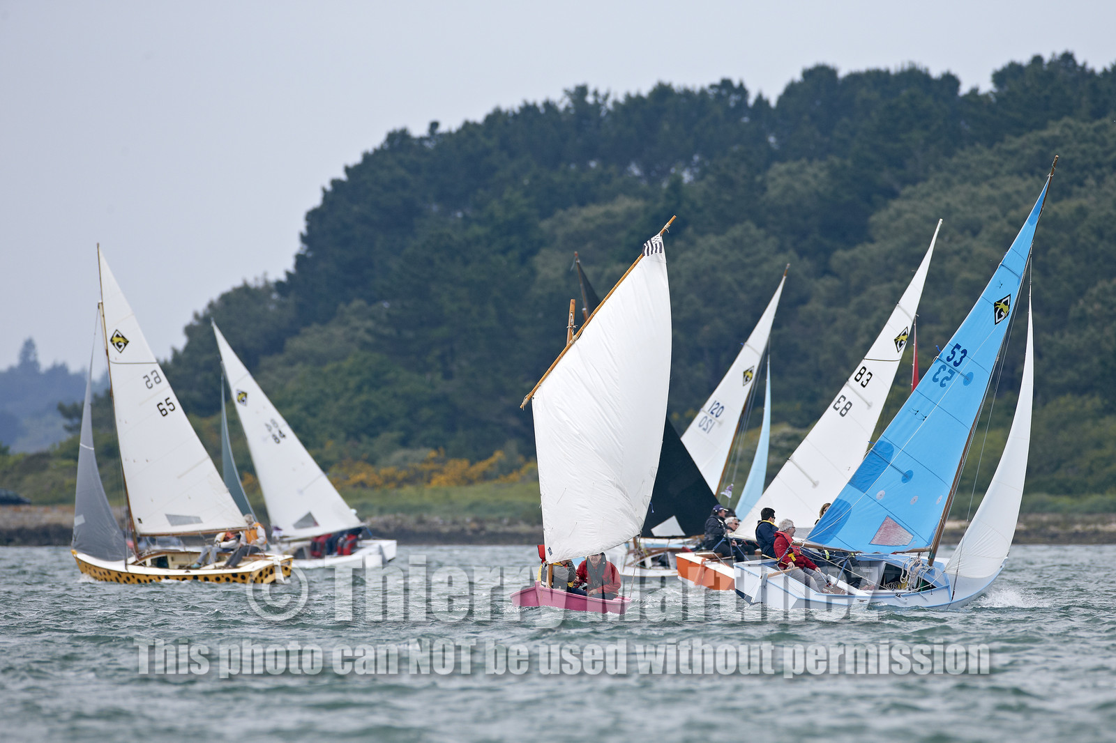 THM-15_46505-SEMAINE du Golfe