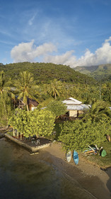 THM-18_038034_TEMEHANI