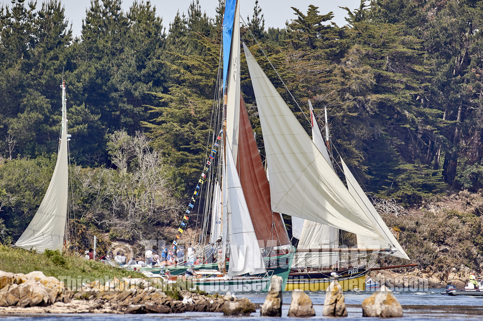 THM-17_010863-SEMAINE du Golfe