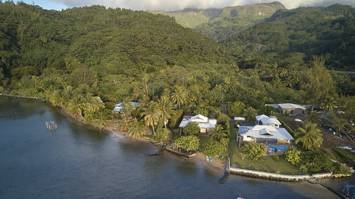 THM-18_038050_TEMEHANI