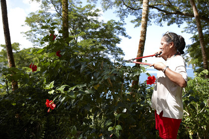 15_024358  ©ThMartinez Sea&Co.  RAIATEA - ILES SOUS LE VENT. POLYNESIE FRANCAISE .  2 Février 2015. ..