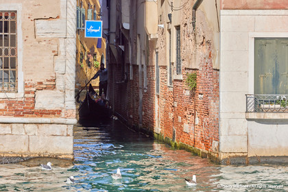 THM-21_31425_VENISE