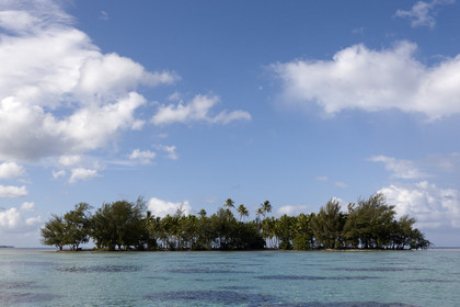 15_024796  ©ThMartinez Sea&Co.  RAIATEA - ILES SOUS LE VENT. POLYNESIE FRANCAISE .  2 Février 2015. ..MOTU dans le lagon de Raiatea.