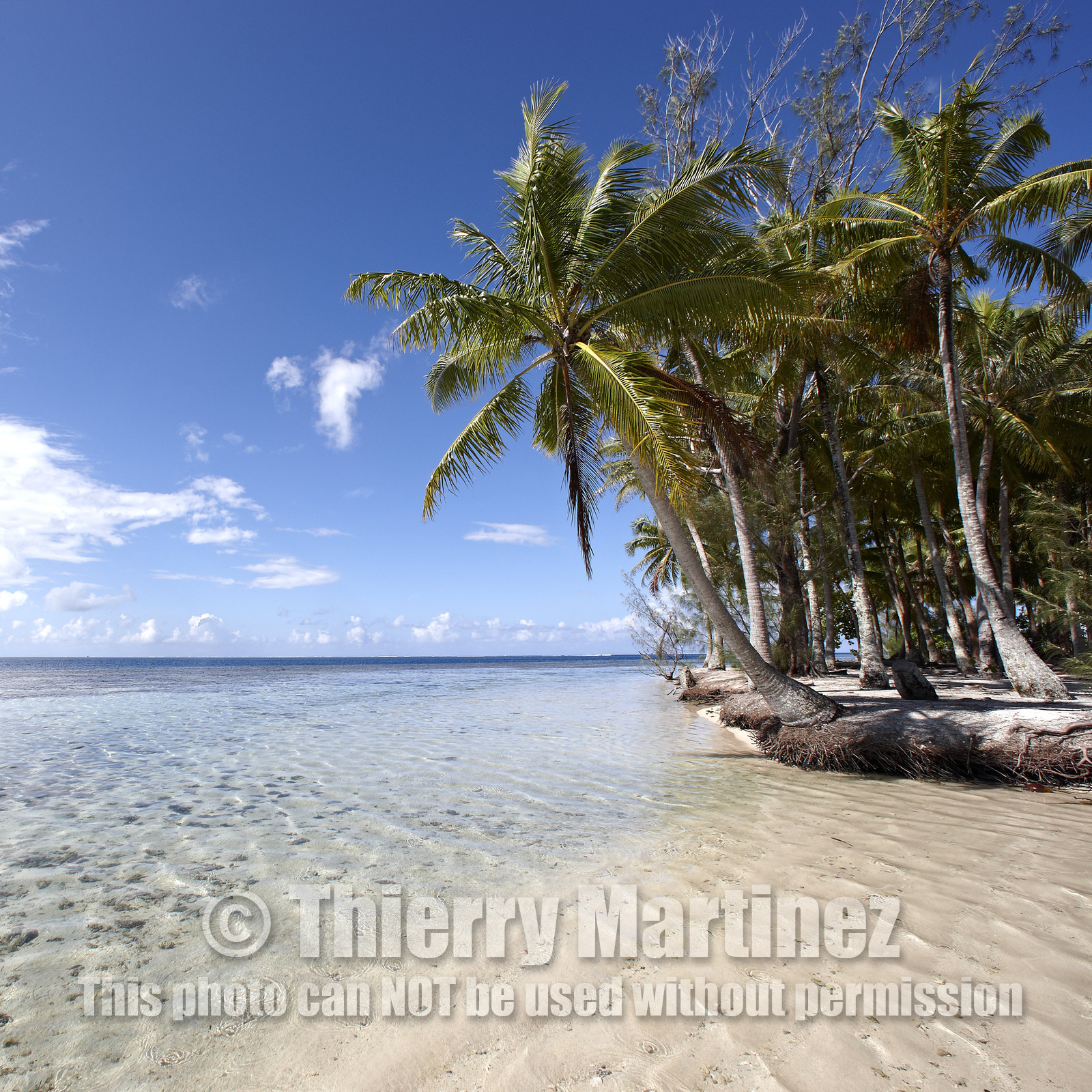 15_024880  ©ThMartinez Sea&Co.  RAIATEA - ILES SOUS LE VENT. POLYNESIE FRANCAISE .  2 Février 2015. ..MOTU dans le lagon de Raiatea.