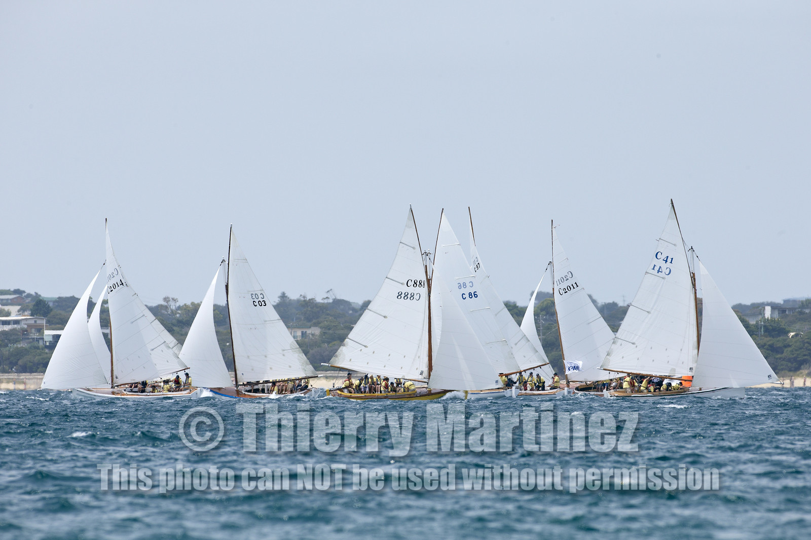 Couta Boat race in Sorrento.