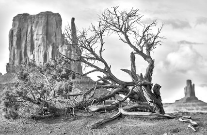 THM-18_055348-MONUMENT VALLEY