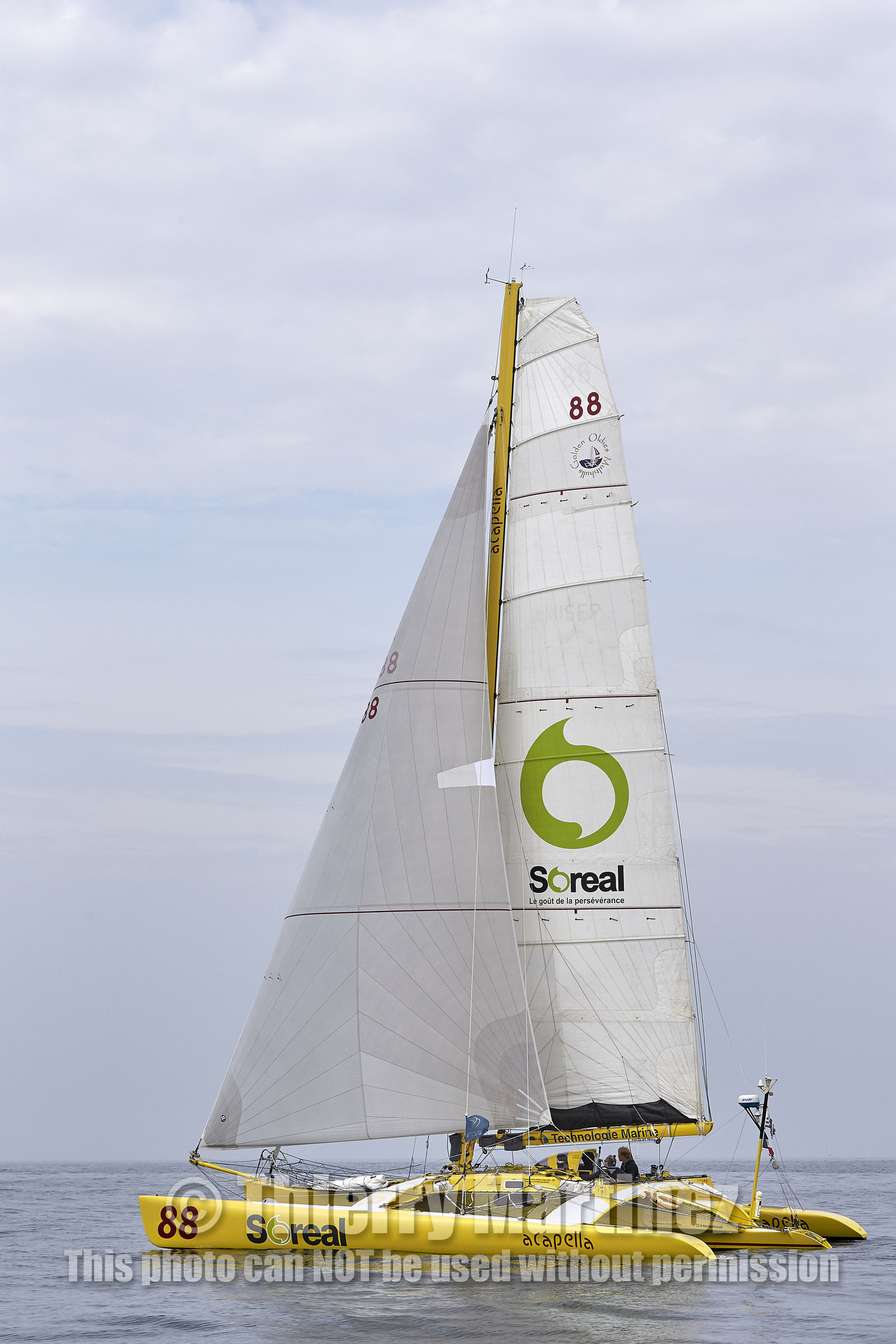 16_47601-DREAHM CUP 2016