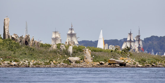 THM-17_010757-SEMAINE du Golfe