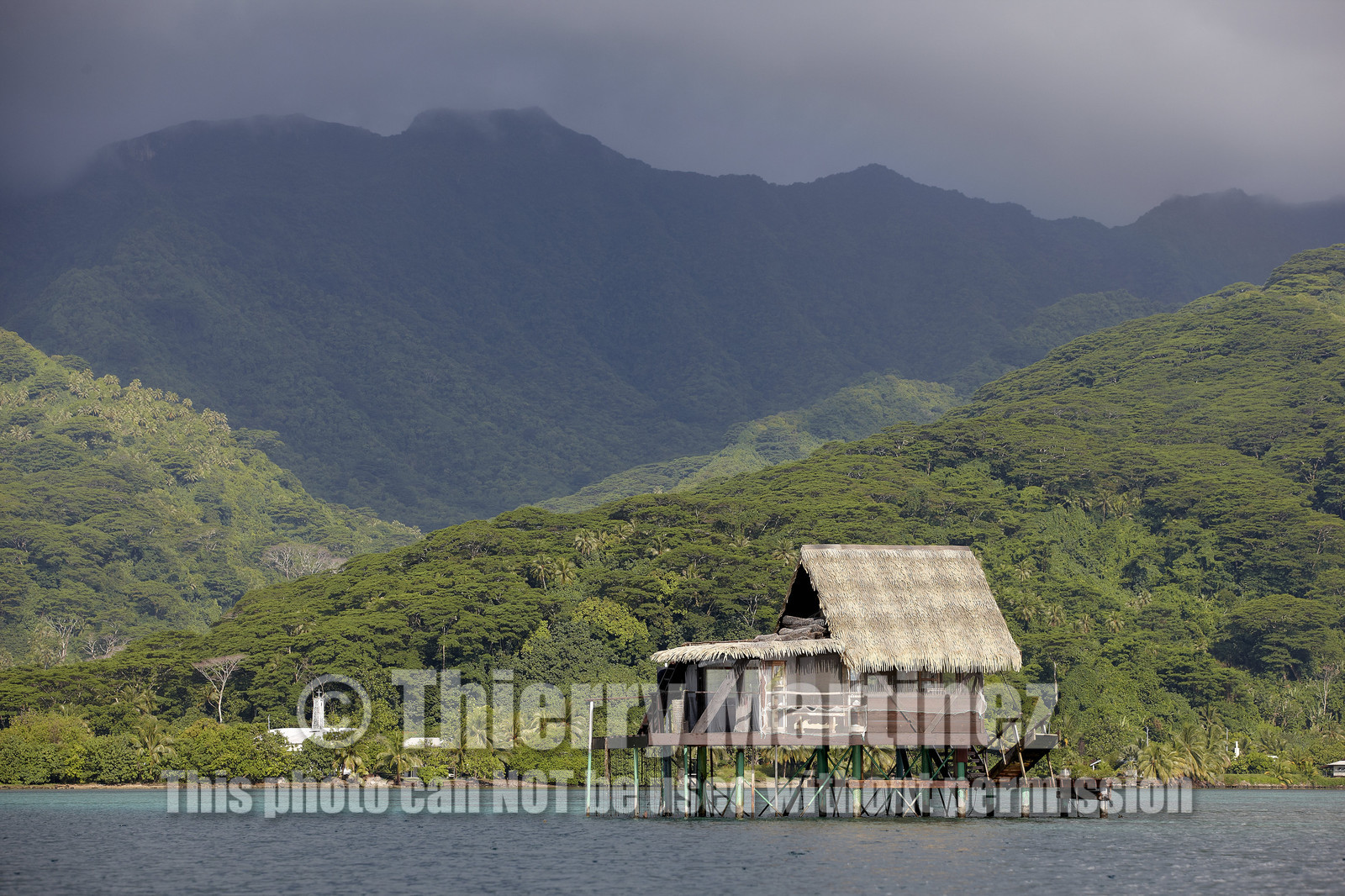 15_025126  ©ThMartinez Sea&Co.  RAIATEA - ILES SOUS LE VENT. POLYNESIE FRANCAISE .  2 Février 2015. ..FERME PERLIERE