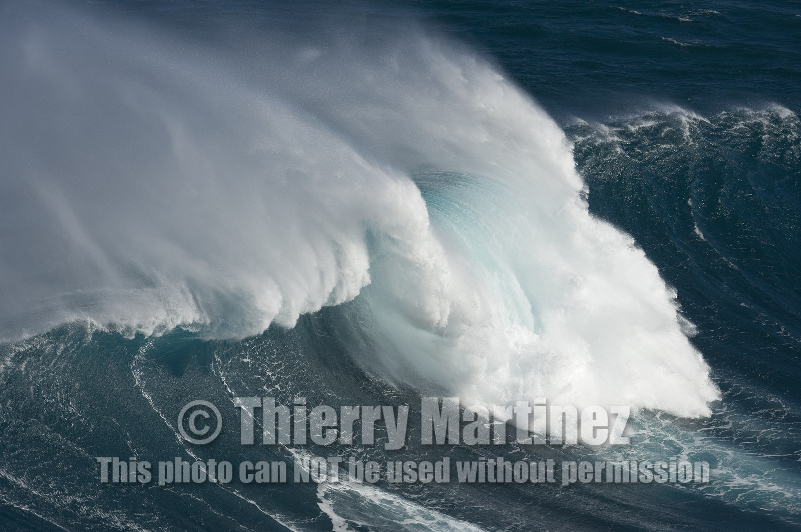 MAUI - HAWAII - USA . Jan 2007.