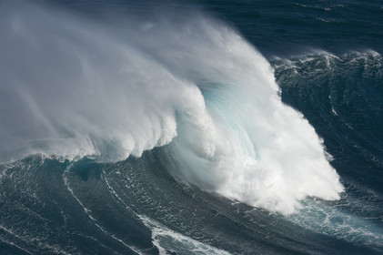 MAUI - HAWAII - USA . Jan 2007.