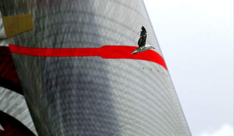 03_1112D © Th.Martinez    Alinghi Team. Auckland   New Zealand. 28th February 2003 America's Cup 2003. Day 4,Race cancelled , Alinghi (SUI64) vs Team New Zealand (NZL82). .a close supporter of Alinghi Team