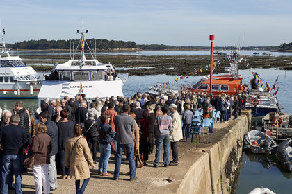 THM-17_085875-AGENLUS IV