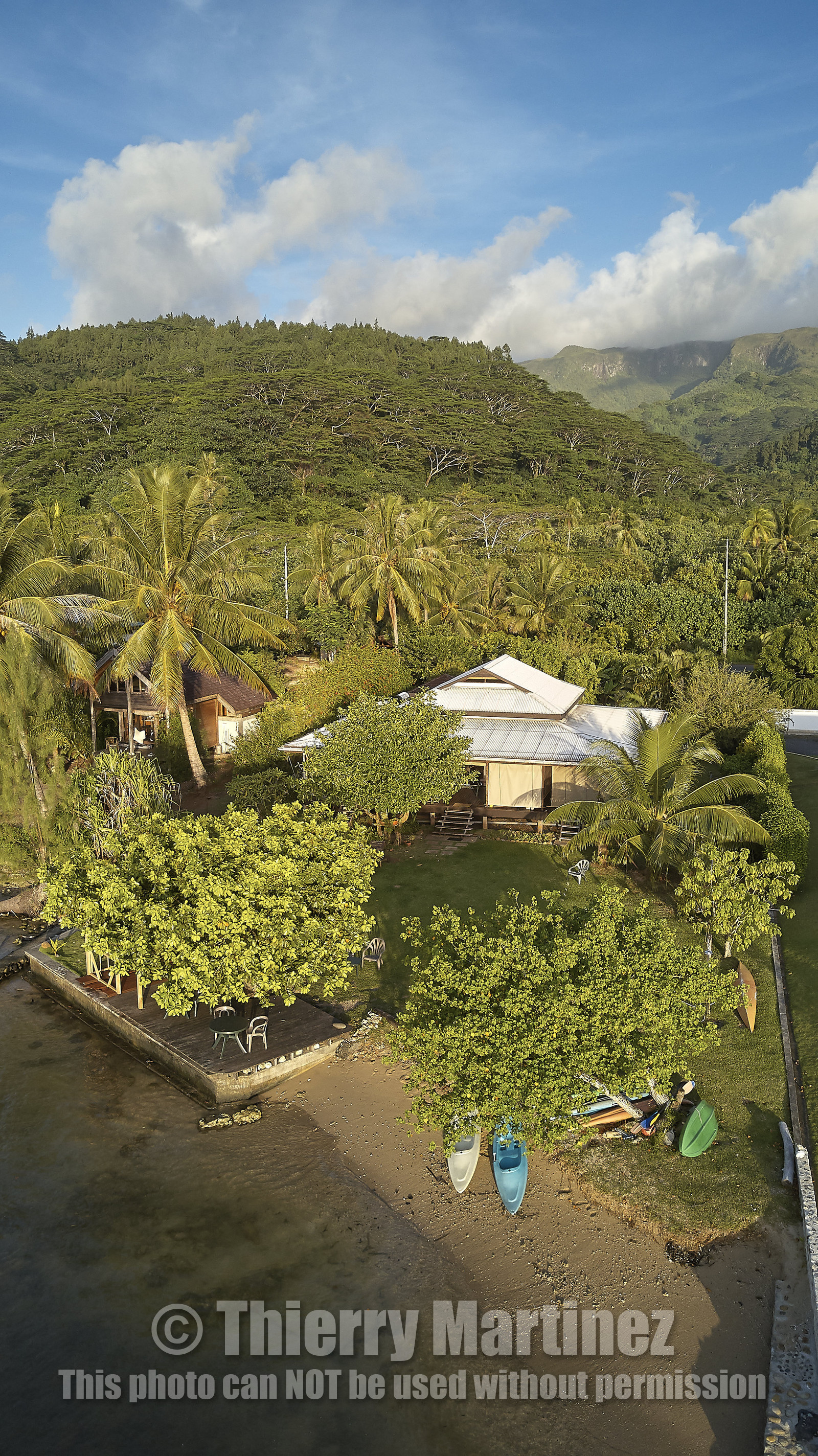 THM-18_038035_TEMEHANI