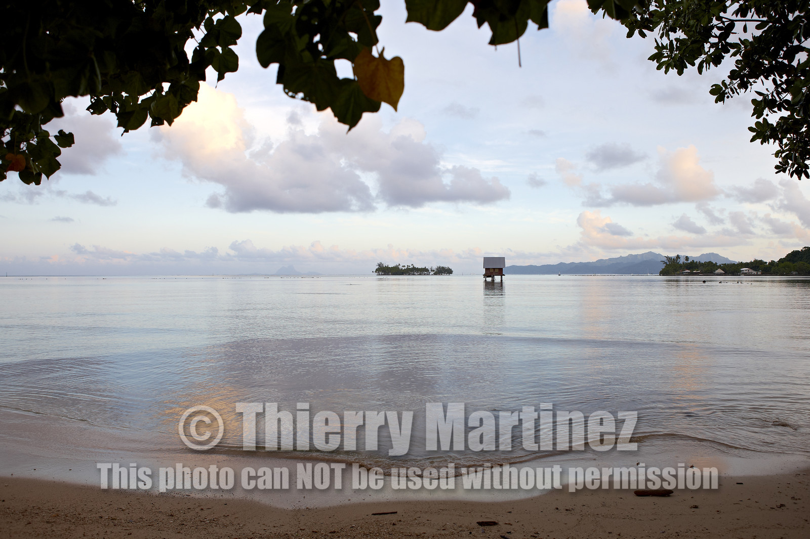 15_023853  ©ThMartinez Sea&Co.  RAIATEA - ILES SOUS LE VENT. POLYNESIE FRANCAISE .  2 Février 2015. ..