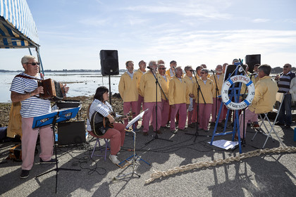 THM-17_085885-AGENLUS IV