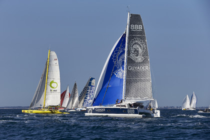 16_44156-DREAHM CUP 2016