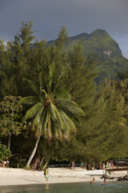 15_023672  ©ThMartinez Sea&Co.  HUAHINE - ILES SOUS LE VENT. POLYNESIE FRANCAISE . 31 January 2015. .Village de FARE.