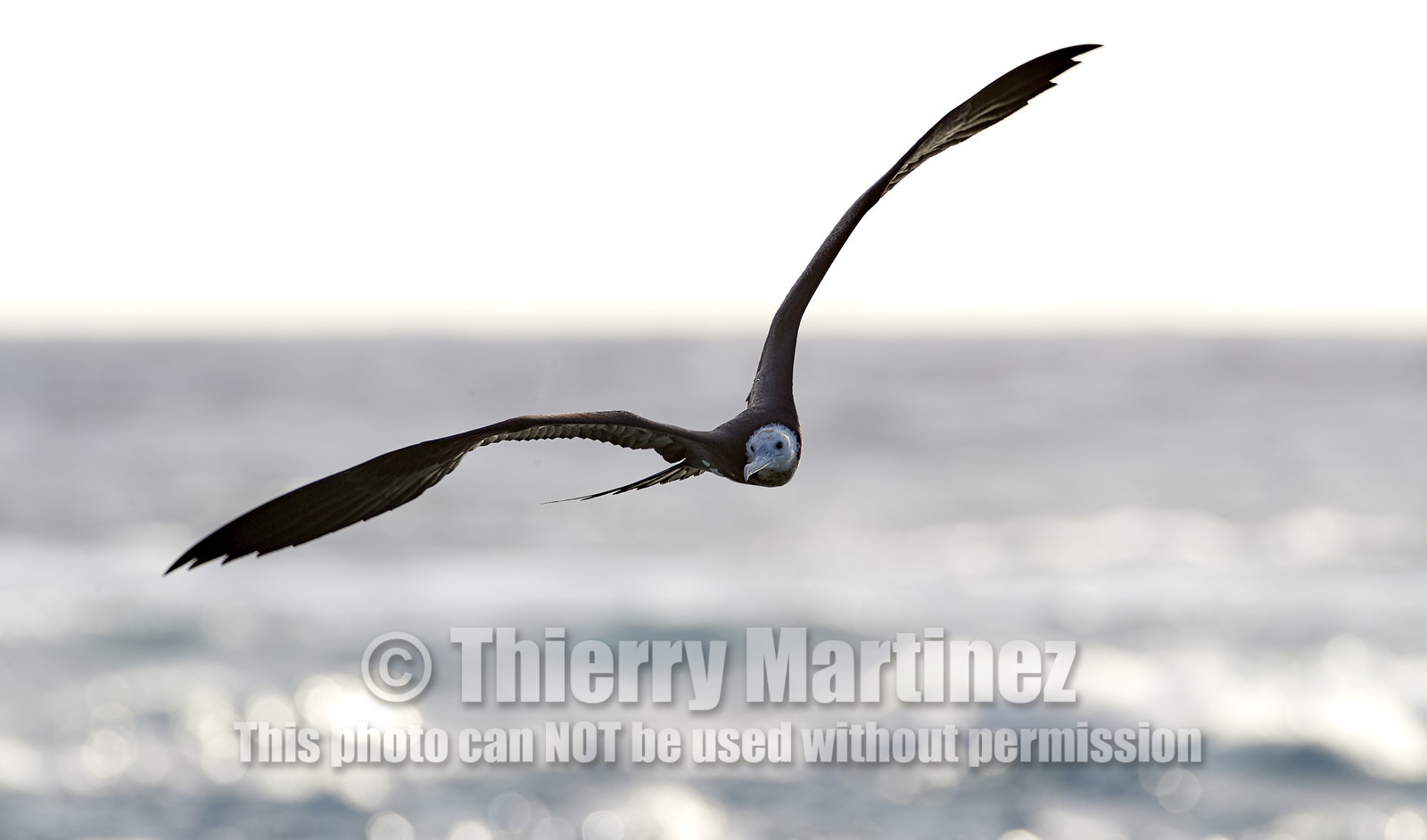 THM-18_039097_RANGIROA