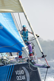 team AkzoNobel  in Volvo Ocean Race 2017-18.