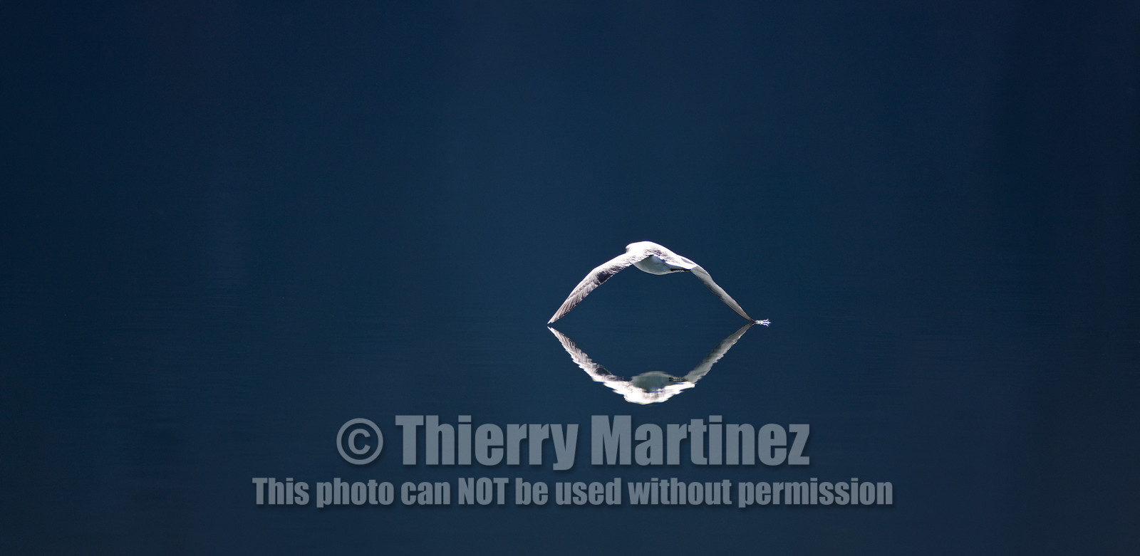 Schooner LA LOUISE sailing on west coast of Greenland.