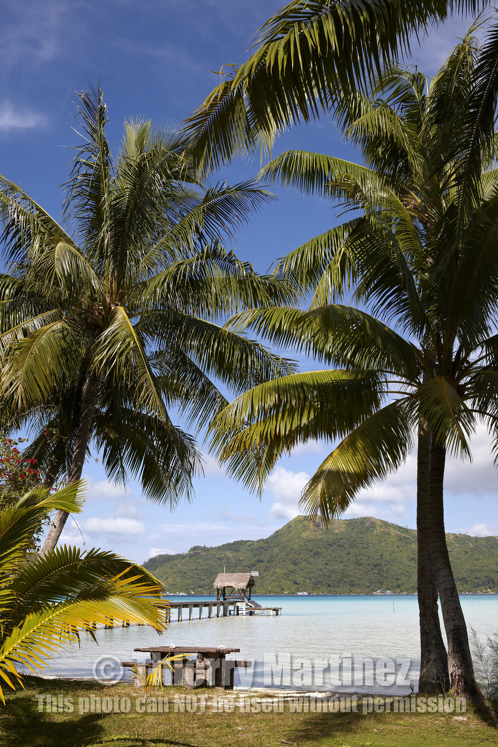 15_025939  ©ThMartinez Sea&Co.  BORA BORA - ILES SOUS LE VENT. POLYNESIE FRANCAISE .  6 Février 2015. . Bora Bora depuis Eden Beach Bora Bora..