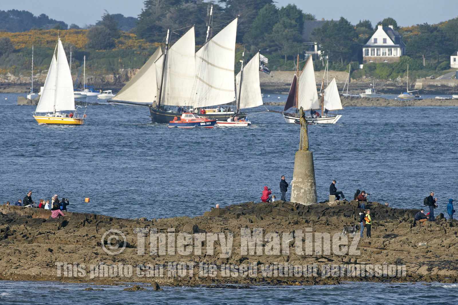 Semaine du Golfe 2015. Parade d'arrivée de la flotte.