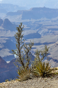 THM-18_057366-GRAND CANYON