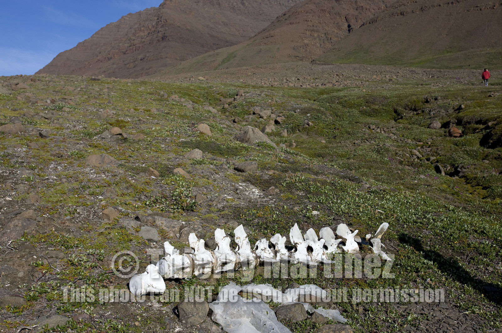 Schooner LA LOUISE sailing on west coast of Greenland.