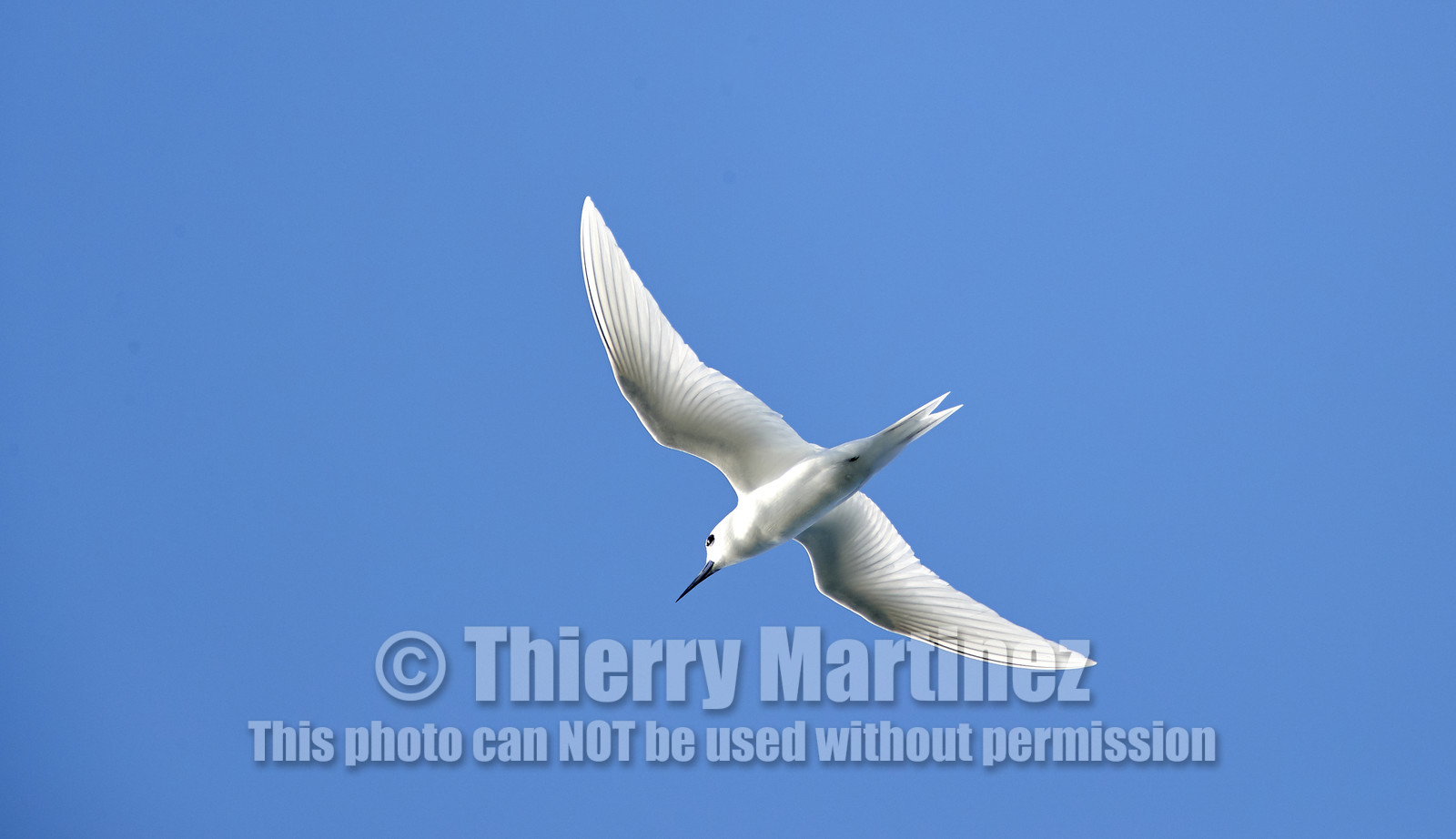 THM-18_039247_RANGIROA