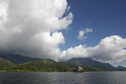 15_025112  ©ThMartinez Sea&Co.  RAIATEA - ILES SOUS LE VENT. POLYNESIE FRANCAISE .  2 Février 2015. ..FERME PERLIERE