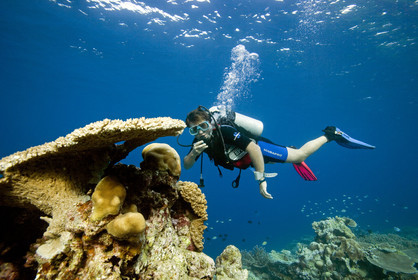 Diving In Maldives Feb March 2007.