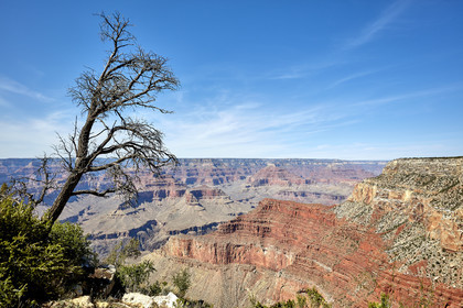 THM-18_057857-GRAND CANYON