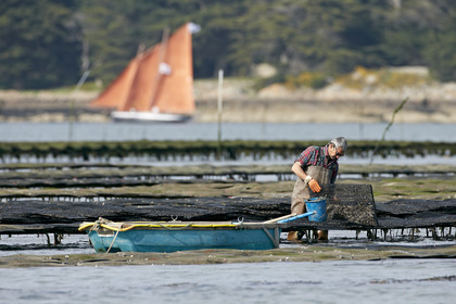 THM-15_46048-SEMAINE du Golfe