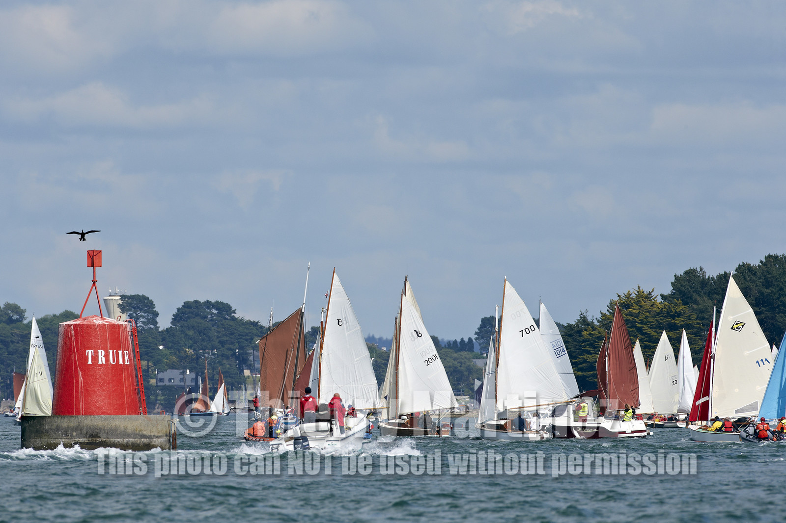 THM-15_48319-SEMAINE du Golfe