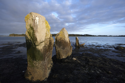 13_03296 Golfe du Morbihan
