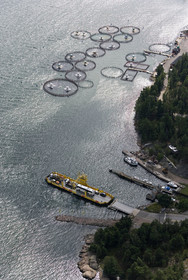 Archipelago Raid 2007 (30 July    3 August 2007).