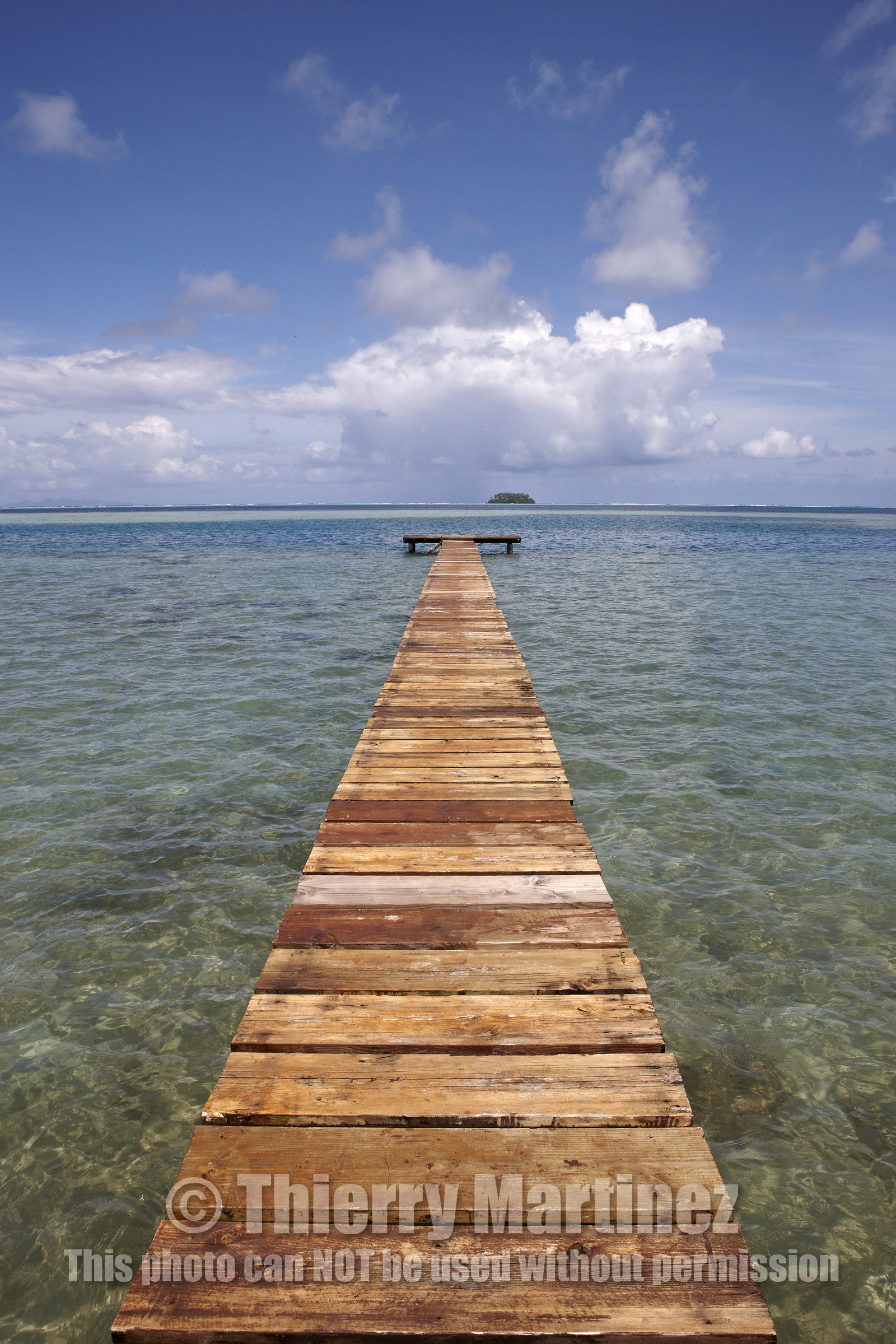 15_024050  ©ThMartinez Sea&Co.  RAIATEA - ILES SOUS LE VENT. POLYNESIE FRANCAISE .  2 Février 2015. ..