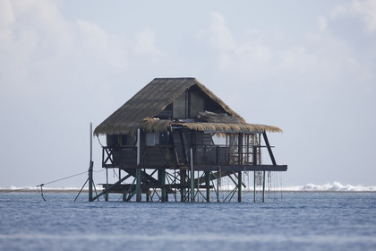 15_025087  ©ThMartinez Sea&Co.  RAIATEA - ILES SOUS LE VENT. POLYNESIE FRANCAISE .  2 Février 2015. ..FERME PERLIERE