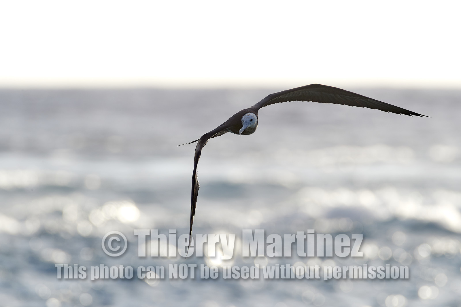 THM-18_039096_RANGIROA