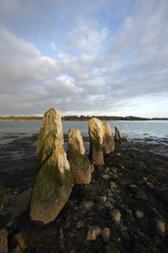 13_03288 Golfe du Morbihan