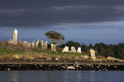 13_03200 Golfe du Morbihan