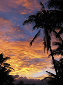 Maui - Hawaii Jan-Feb 2007