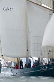 THM-15_48105-SEMAINE du Golfe