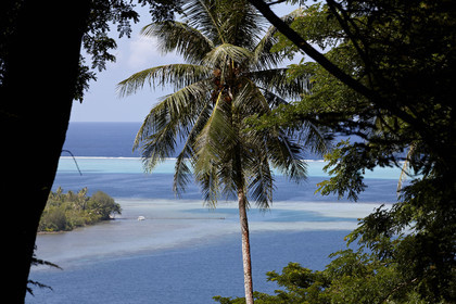15_024391  ©ThMartinez Sea&Co.  RAIATEA - ILES SOUS LE VENT. POLYNESIE FRANCAISE .  2 Février 2015. ..
